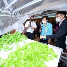 พิธีปิดโครงการ พร้อมพิธีมอบโล่ เกียรติบัตร และการนำเสนอสรุปผลในการต่อยอดผลงาน